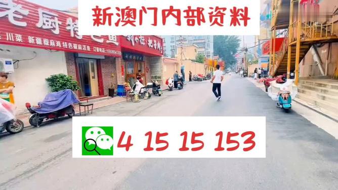 2025年新澳门天天开好彩大全，警惕虚假宣传，系统管理执行